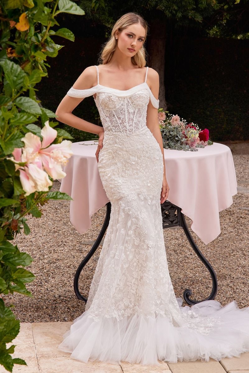 Vestido de Novia| Miaminovias | Clearwater